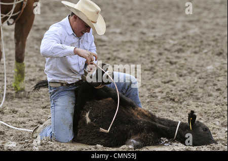 USA, Salmon, Idaho, Tie-Down Abseilen, Highschool-Rodeo Stockfoto