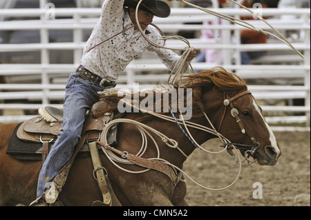 USA, Salmon, Idaho, Tie-Down Abseilen, Highschool-Rodeo Stockfoto