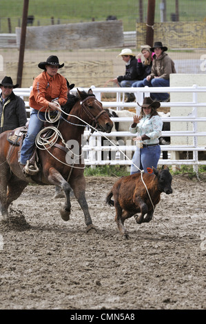 USA, Salmon, Idaho, Tie-Down Abseilen, Highschool-Rodeo Stockfoto