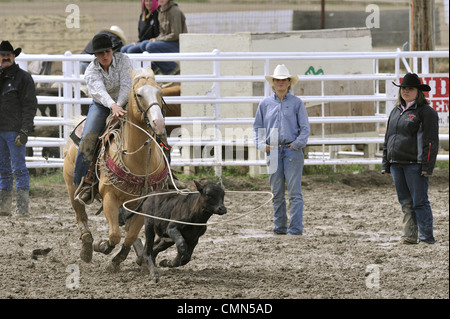 USA, Salmon, Idaho, Tie-Down Abseilen, Highschool-Rodeo Stockfoto