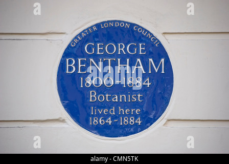 mehr London Rat blaue Plakette markiert eine Heimat der Botaniker George Bentham, Belgravia, London, England