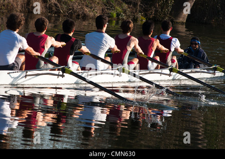 Ruderer mit Cox am Fluss Cam in der Nähe von Cambridge, England. Stockfoto