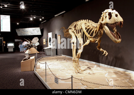 Tucumcari, New Mexico, USA. Mesalands-Dinosaurier-Museum. Stockfoto