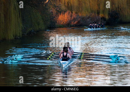 Ruderer bei Sonnenuntergang am Fluss Cam in Cambridge, England. Stockfoto