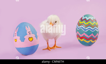 Küken mit zwei bunte Ostereier auf rosa Hintergrund Stockfoto