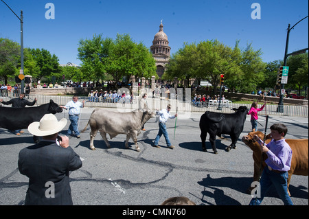 Jugend parade ihren Champion Steuern im Texas Capitol in Endrunde Grand Champion bei den Star Texas Rodeo, Austin TX Stockfoto