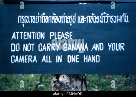 Ein Zeichen in Thai und Englisch warnt Touristen, dass Elefanten Kameras anstelle von Bananen im eines asiatischen Elefanten Trainingscenter im Norden Thailands greifen können. Stockfoto