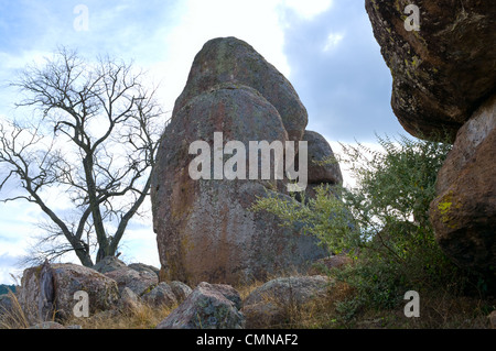 Große Felsen und Baum in das Tal der Rätsel in der Nähe von Tapalpa in Jalisco, Mexiko Stockfoto