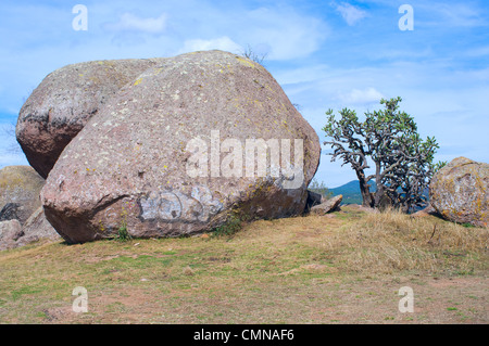 Große Felsen und Kaktus Baum im Tal der Rätsel in der Nähe von Tapalpa in Jalisco, Mexiko Stockfoto