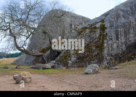 Große Felsen und Baum in das Tal der Rätsel in der Nähe von Tapalpa in Jalisco, Mexiko Stockfoto