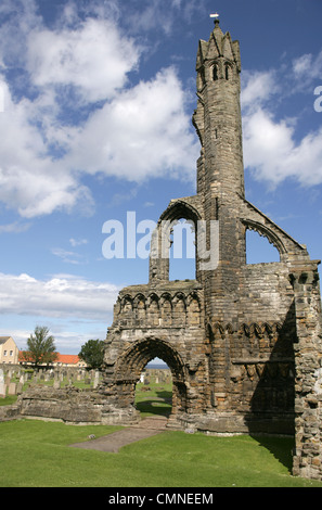 St Andrews Cathedral Fife. Stockfoto
