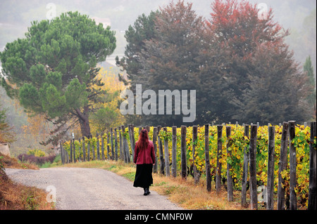 Italien Piemont Santo Stefano Belbo Gaminella Hill Stockfoto