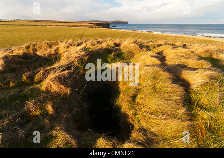 Dunnet Head aus einem prähistorischen chambered Cairn in der Nähe von Schinken, Caithness, Schottland, UK Stockfoto