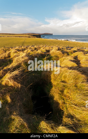 Dunnet Head aus einem prähistorischen chambered Cairn in der Nähe von Schinken, Caithness, Schottland, UK Stockfoto