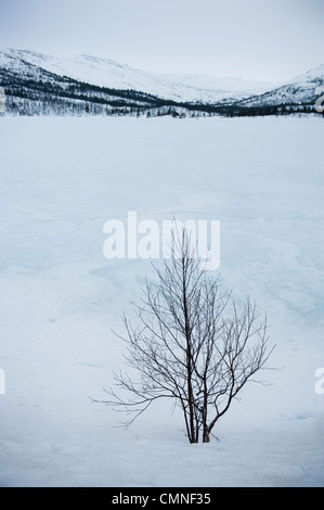 Ansicht des Breivevatnet eingefroren und unter dem Schnee in der Nähe von Hovden im Bykle Bezirk von Süd-Norwegen Stockfoto