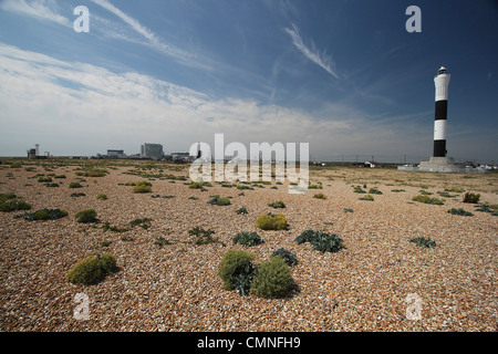 Romney Marsh Dungeness Blick über Kiesstrand mit Blick aufs Meer Kale in den Vordergrund und das Kernkraftwerk am Horizont. Stockfoto