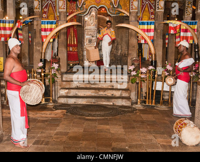 traditionelle Trommler im Heiligen Tempel von den Zahntempel in Kandy, Sri Lanka (Dalada Maligawa) Stockfoto