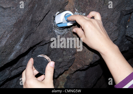 Geocache Container / Inhalt anzeigt Stockfoto