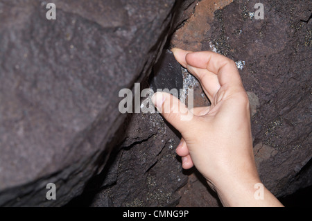 Geocache Container / Inhalt anzeigt Stockfoto