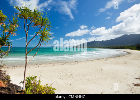 Ansicht der Myall Beach. Cape Tribulation, Daintree Nationalpark, Queensland, Australien Stockfoto