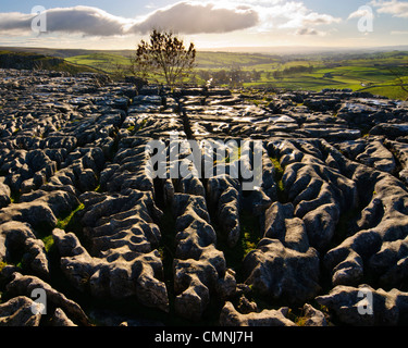 Kalkstein Pflaster über die Klippe von Malham Cove im englischen Yorkshire Dales National Park Stockfoto