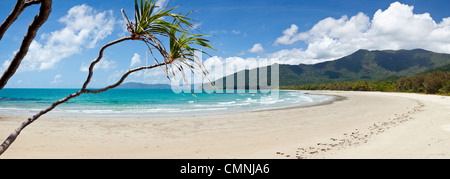 Ansicht der Myall Beach. Cape Tribulation, Daintree Nationalpark, Queensland, Australien Stockfoto