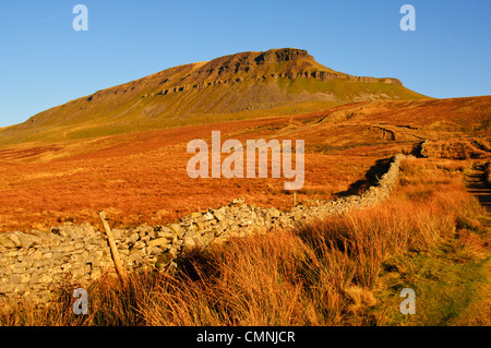 Abendlicht am Pen-y-Gent in Yorkshire Dales Stockfoto