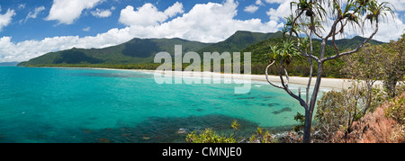 Ansicht der Myall Beach. Cape Tribulation, Daintree Nationalpark, Queensland, Australien Stockfoto