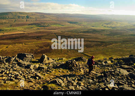 Walker, absteigend von Pen-y-Gent, eines Yorkshire drei Zinnen Stockfoto