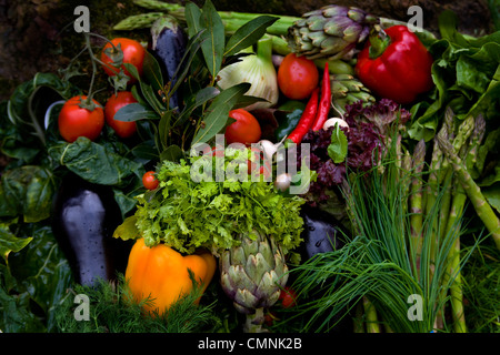 Ein Haufen von frischem Gartengemüse Stockfoto