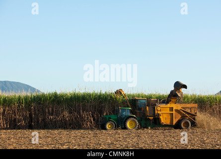 Mechanische Ernte von Zuckerrohr in der Nähe von Cairns, Queensland, Australien Stockfoto