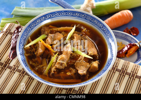 Dies ist eine traditionelle Wels-Suppe aus Asien. Das Foto wurde im Fotostudio. Stockfoto