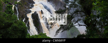 Barron Falls während der regnerischen Jahreszeit. Kuranda, Cairns, Queensland, Australien Stockfoto