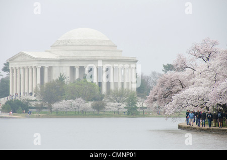 WASHINGTON, DC, USA – die Yoshino Cherry Blossoms rund um das Tidal Basin feiern in diesem Jahr ihren 100. Jahrestag der ersten Pflanzung im Jahr 1912. Mit dem ungewöhnlich warmen Winter kommt die Blüte dieses Jahres sehr früh. Auf diesem Foto, das am 18. März 2012 aufgenommen wurde, blühen die Blüten in Hochblüte. Stockfoto