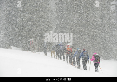 Gruppe von Backcountry Skifahrer unterwegs in einem Schneesturm, Wallowa Mountains, Oregon. Stockfoto