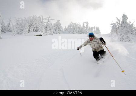 Katze, Anthony Seen im Skigebiet in Oregon Elkhorn Bergen Skifahren. Stockfoto