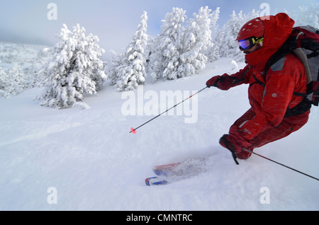 Katze, Anthony Seen im Skigebiet in Oregon Elkhorn Bergen Skifahren. Stockfoto