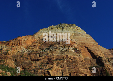 Mächtige Felswand unter blauem Himmel, Zion Nationalpark, Utah Stockfoto