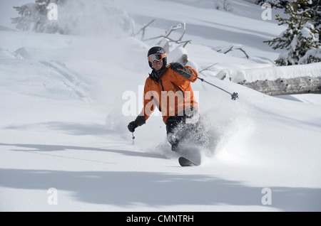Katze, Anthony Seen im Skigebiet in Oregon Elkhorn Bergen Skifahren. Stockfoto