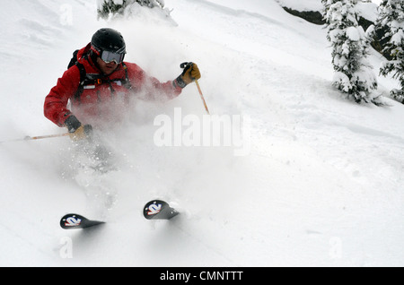 Katze, Anthony Seen im Skigebiet in Oregon Elkhorn Bergen Skifahren. Stockfoto