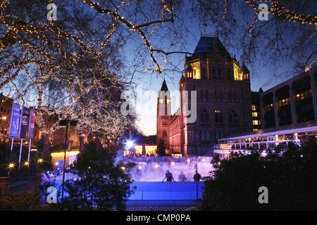 Das Natural History Museum ist eines der beliebtesten Museen für Touristen in London. Stockfoto