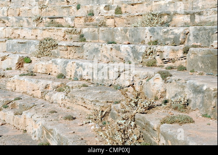 Apollonia. Libyen. Nahaufnahme des Felsens schneiden Sitze des griechischen Theaters von Apollonia liegt direkt außerhalb der östlichen Mauern Stockfoto