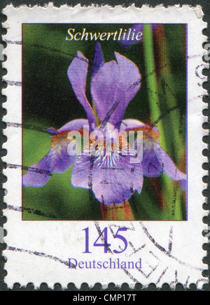 Deutschland - CIRCA 2006: Eine Briefmarke gedruckt in Deutschland, zeigt eine Blume, Iris, circa 2006 Stockfoto