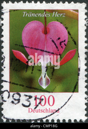 Deutschland - CIRCA 2006: Eine Briefmarke gedruckt in Deutschland, zeigt eine Blume, Dicentra (Gutmensch), circa 2006 Stockfoto