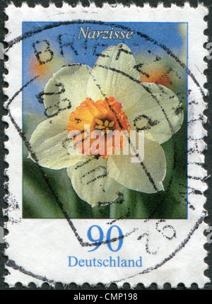 Deutschland - CIRCA 2006: Eine Briefmarke gedruckt in Deutschland, zeigt die Blume der Narzisse, circa 2006 Stockfoto