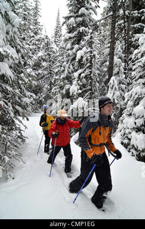 Schneeschuhwanderer im Wald, Elkhorn Berge, Oregon Stockfoto