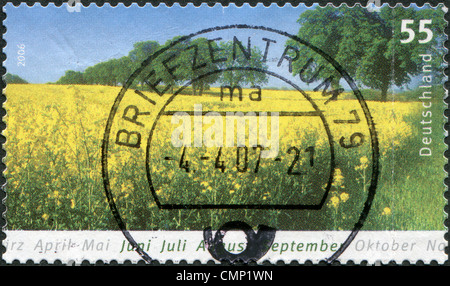 Deutschland - CIRCA 2006: Eine Briefmarke gedruckt in Deutschland, zeigt eine blühende Sommerwiese, circa 2006 Stockfoto