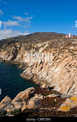 Punta di Capel Rosso und Cala Schizzatoio, Insel Giglio, Grosseto, Toskana, Italien Stockfoto