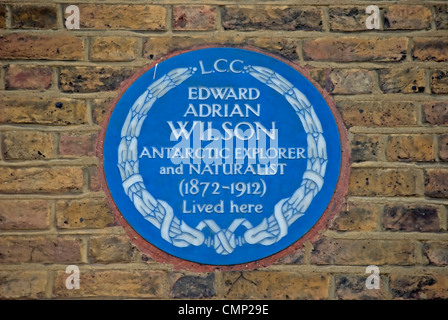 London Grafschaftsrat blaue Plakette markiert eine Heimat der Antarktis Entdecker und Naturforscher, Edward Adrian Wilson, London, england Stockfoto