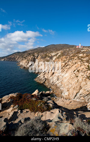 Punta di Capel Rosso und Cala Schizzatoio, Insel Giglio, Grosseto, Toskana, Italien Stockfoto